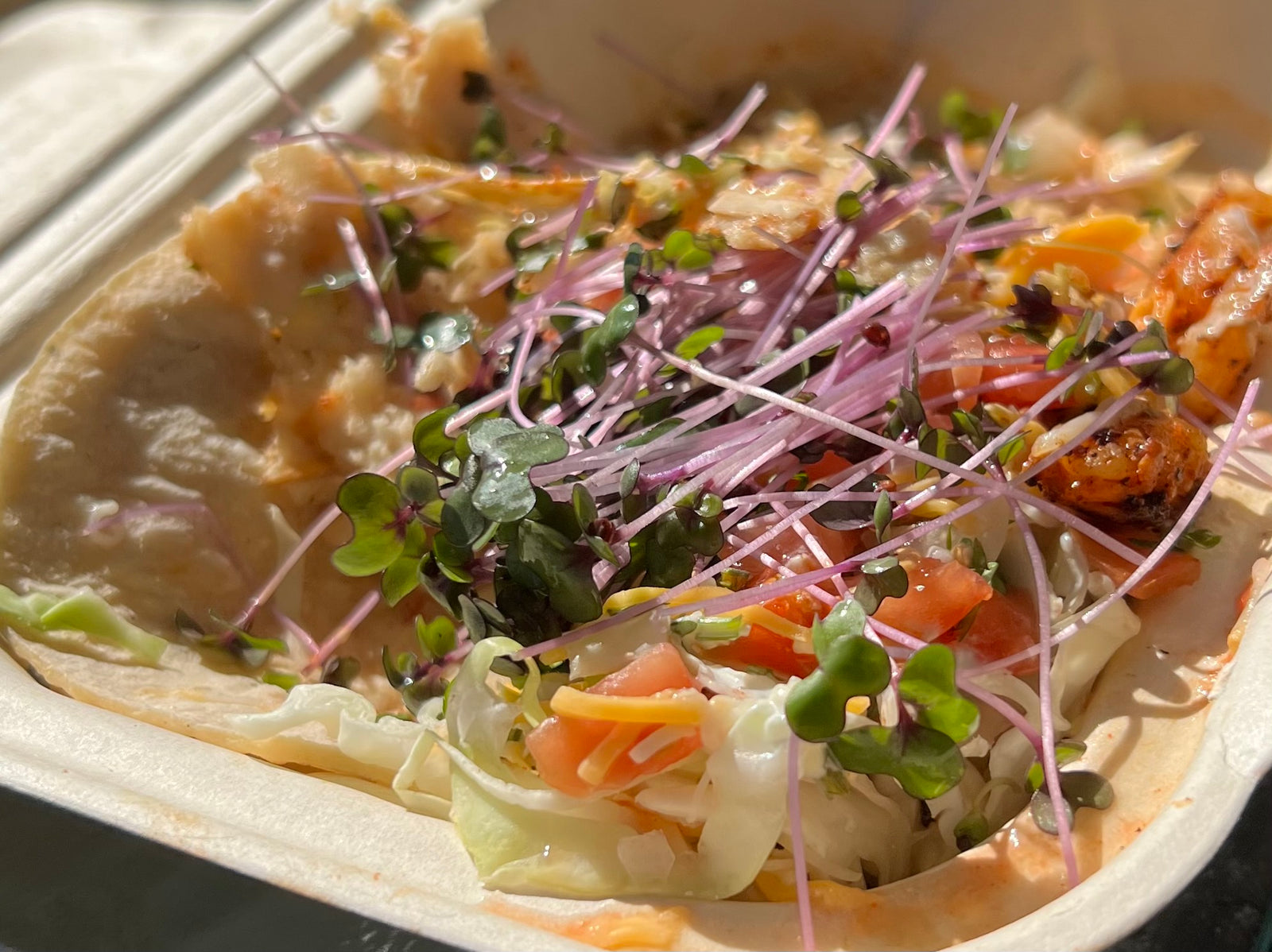 Top 10 Easiest Microgreen Recipes