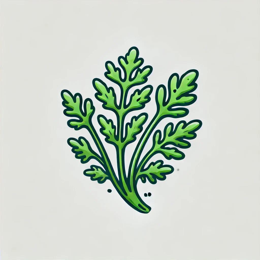 Learn More About Carrot Microgreens