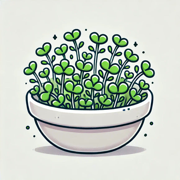 Bowl of microgreens