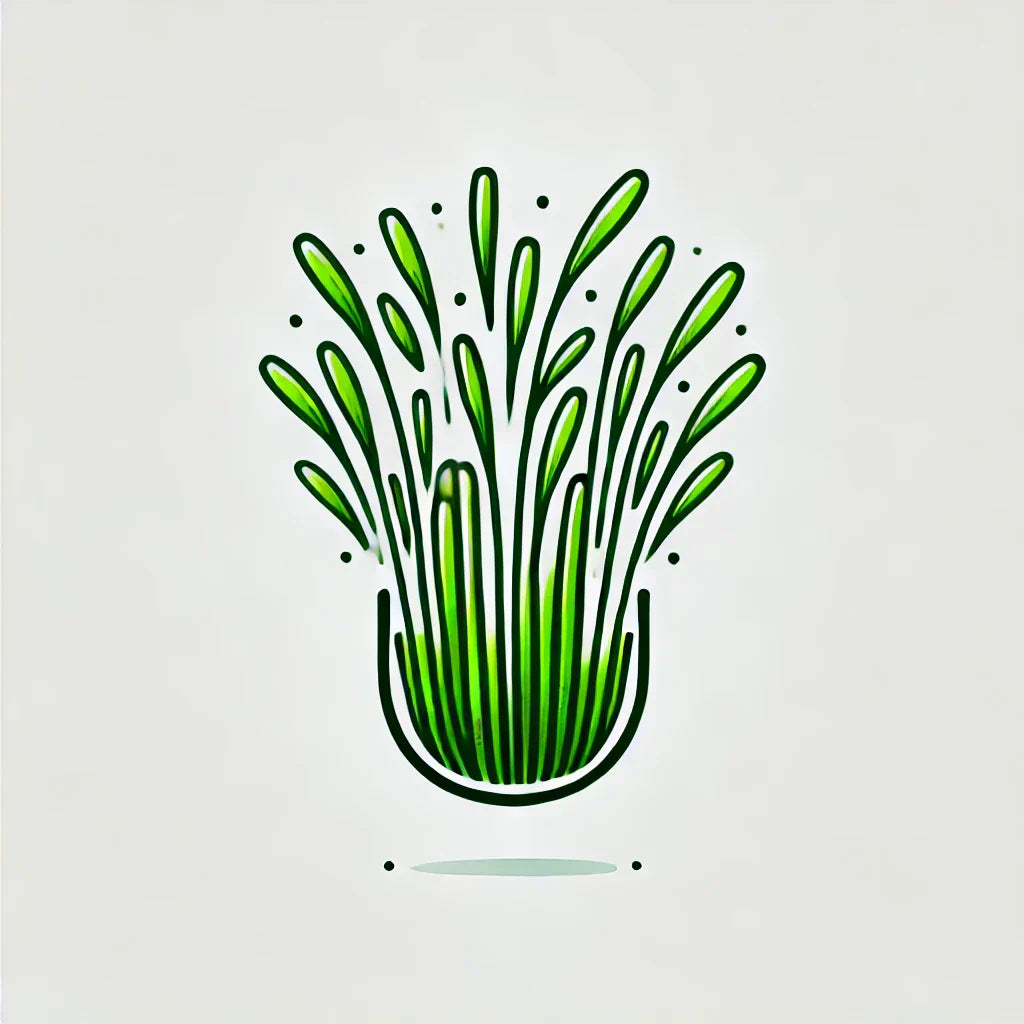Learn More About Wheatgrass