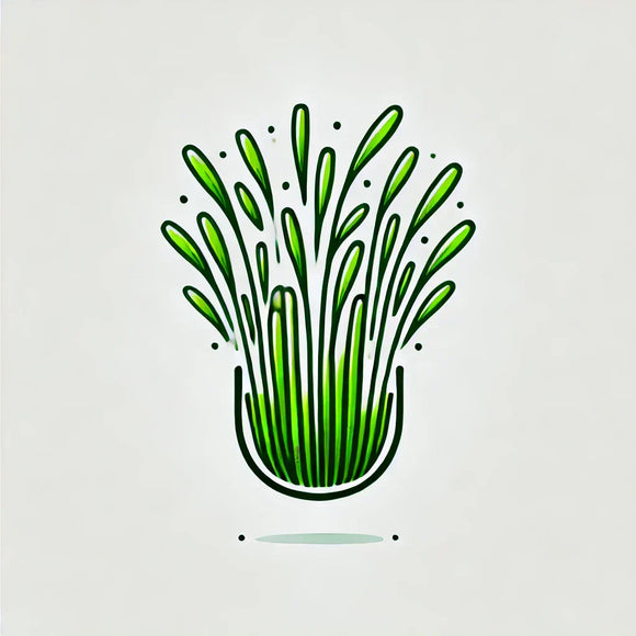 Learn More About Wheatgrass